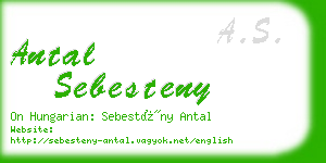 antal sebesteny business card